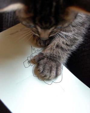 walyou-post-roundup-14-cat-turkey walyou-post-roundup-14-cat-turkey