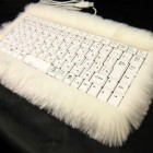 cool-keyboard-cat-fur
