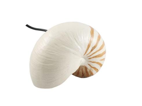 Sea Shell USB Hub Gadget usb 3 port hub 2 Sea Shell USB Hub Gadget