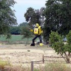 real bumblebee transformer1 140x140 Transformers Bumblebee Life Size Replica