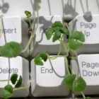 computer keyboard chia pet project 140x140 Chia Computer Keyboard is the Greenest Keyboard Ever!