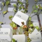 computer keyboard plant 140x140 Chia Computer Keyboard is the Greenest Keyboard Ever!