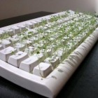 funny chia pet keyboard 140x140 Chia Computer Keyboard is the Greenest Keyboard Ever!