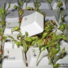 funny computer keyboard prank 140x140 Chia Computer Keyboard is the Greenest Keyboard Ever!