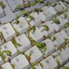 green computer keyboard 140x140 Chia Computer Keyboard is the Greenest Keyboard Ever!