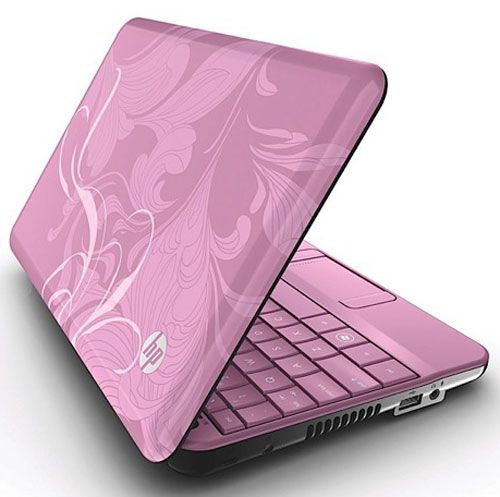 Pink Netbook