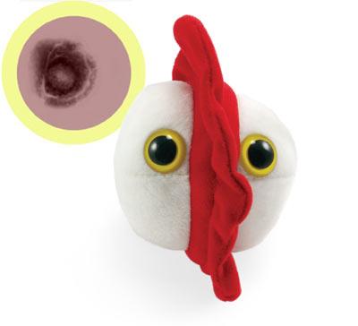 cute chicken pox plush toy