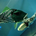 robotic fish 2 140x140 Pollutacuda is a Sarcastic Barracuda Robot Sculpture Taking on Technological Solutions