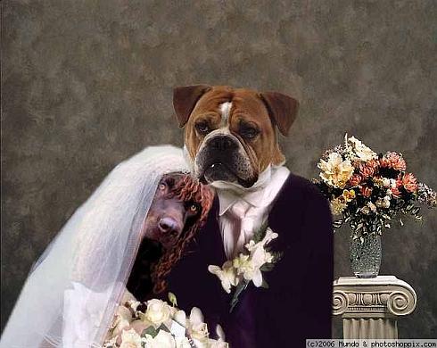 weird wedding 6 Ten Weird Weddings that You Cannot Miss