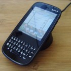 cool palm pixi