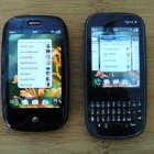 new palm pixi