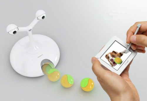 pet babysitter robot