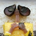 wall e bento lunchbox artwork