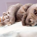 star wars tauntaun cake