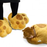 dinosaur slipper usb