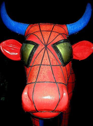 spiderman cow polymnia spiderman cow polymnia