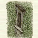 window optical illusion