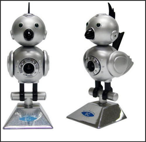 18 Geeky and Funny Webcams BIRD WEBCAM