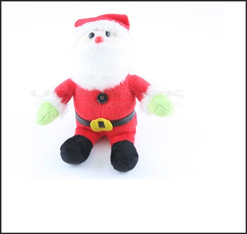 18 Geeky and Funny Webcams SANTA WEBCAM