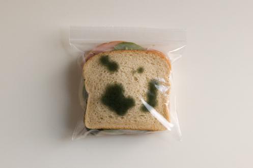 anti theft sandwich bags 2 16 Anti Theft Gadgets and Designs to Deter Thieves