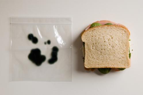 anti theft sandwich bags 16 Anti Theft Gadgets and Designs to Deter Thieves
