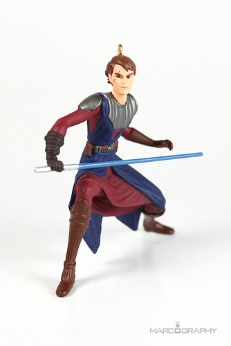 family anakin skywalker