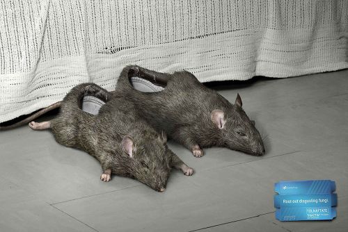 dead rats slippers design dead rats slippers design Bizarre Smelly Slippers Designs used for Fungus Cream Ad