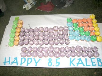 Here is another Periodic Table Cake, which proves that chemistry lovers must 