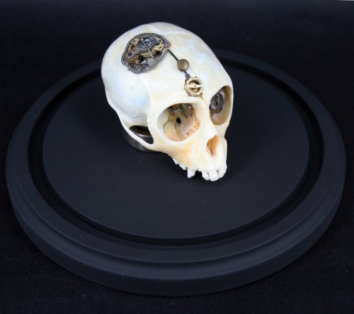 skull2 Departed Steampunk Monkey Skull Frighteningly Cool