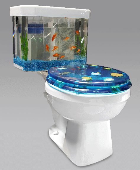 fish tank. The Fish Tank Toilet thats