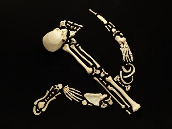 Real Skeleton Art (3)
