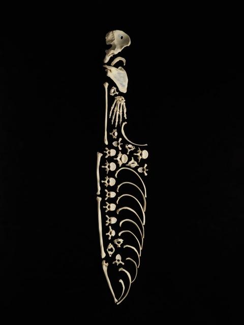 Real Skeleton Art (4)