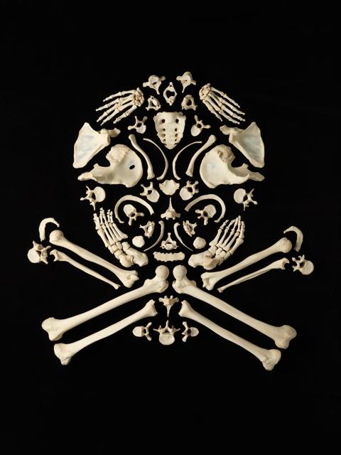 Real Skeleton Art (5)