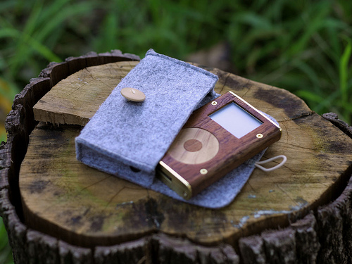 wooden ipod with case
