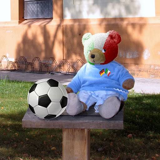 2010 FIFA World Cup Sharing your 2010 FIFA World Cup images with Picnik
