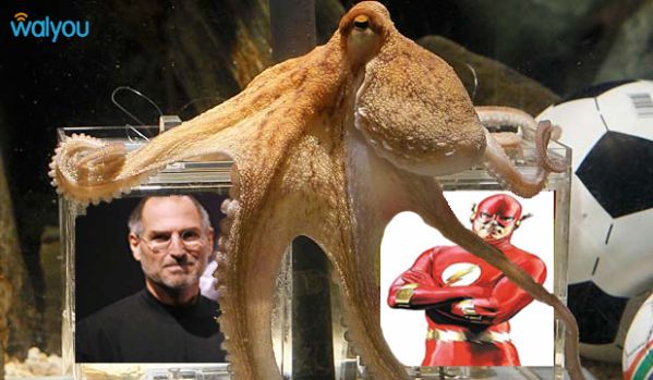  Support on iPhone and iPad or the funny Steve Jobs and Bill Gates chat.