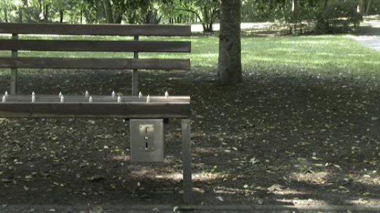bench