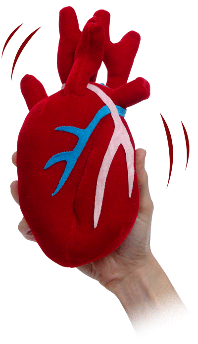 plush beating heart Give Your Girlfriend a Real Looking Plush Beating Heart