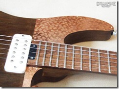 Steampunk Guitar Cutaway and Pickups