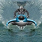 dolphin watercraft