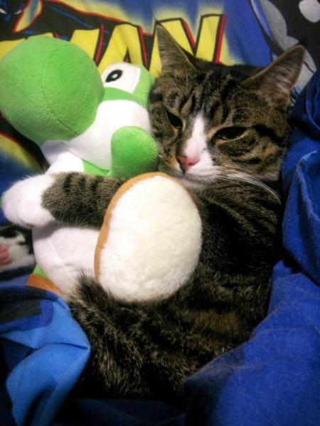 i love you man cast. We hope you have a wonderful