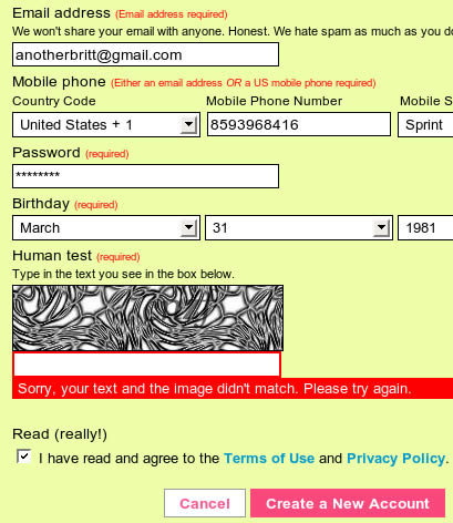 Craziest Captchas 2 25 Craziest Captchas