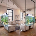 The Hanging Aquarium: An Elite Space for Fish!