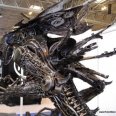 The Recycled Alien Queen Is Here With Tip Or Two About Recycling
