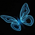 Butterflies Night Lamp that Softly Illuminate Your Room