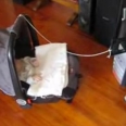 Funny Baby Rocking Ubuntu Linux Script Makes Parenting Geeky