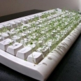 Chia Computer Keyboard is the Greenest Keyboard Ever!