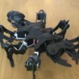 Giant Ant Hexapod Robot