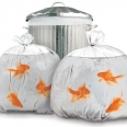 Goldfish Trash Bags Design Makes Taking Out the Trash a Beautiful Sight