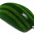 Mouse with Grass Cover Seems Pointless